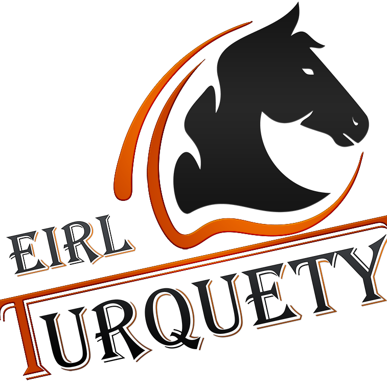 logo-turquety-equestre